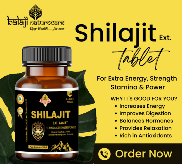 Shilajeet 30 Tablet - Image 2