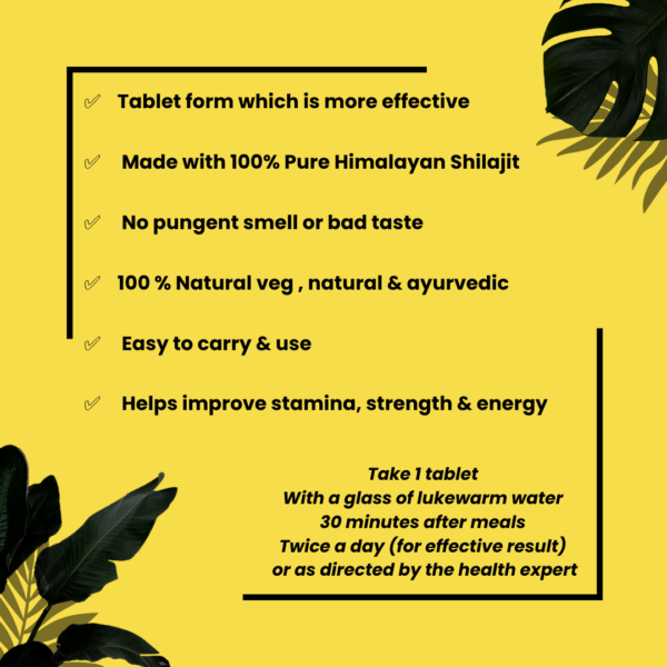 Shilajeet 30 Tablet - Image 3